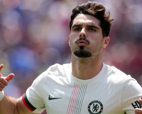 03193ea9 C6f2 4ee1 B66f Fd84bafd5198