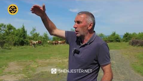 "10 Mijë € Fitim Nga Lopët, Nuk Ta Ndërroj Me Asnjë Punë", Porosia E Fermerit Për Rininë Youtube