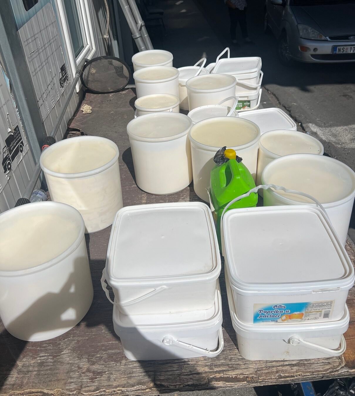 550235831 1209713464525116 4099312850627097524 N 1