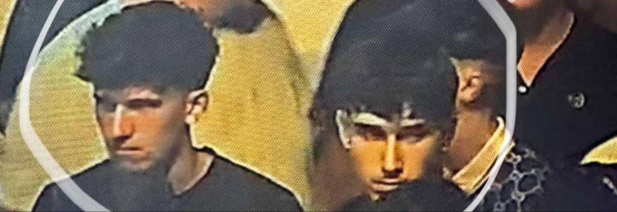 557682929 1105878948419029 5148774973160553256 N