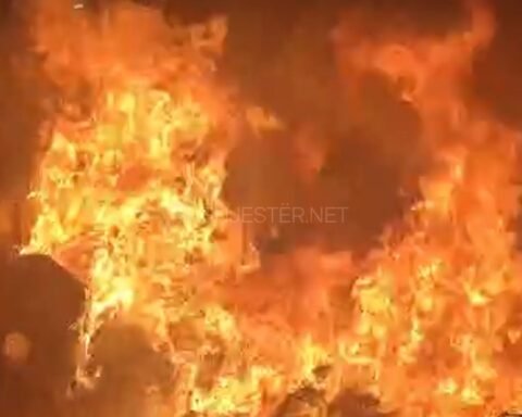 649842291 26739875575604808 137148955208795088 N