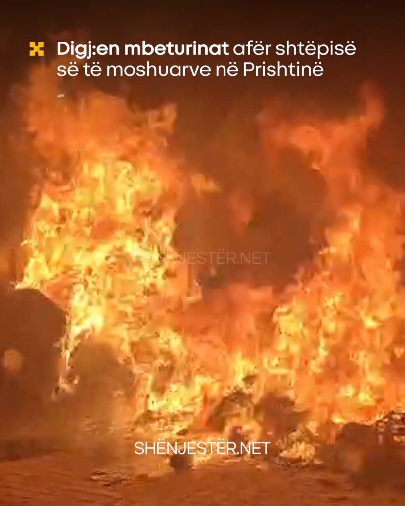 649842291 26739875575604808 137148955208795088 N