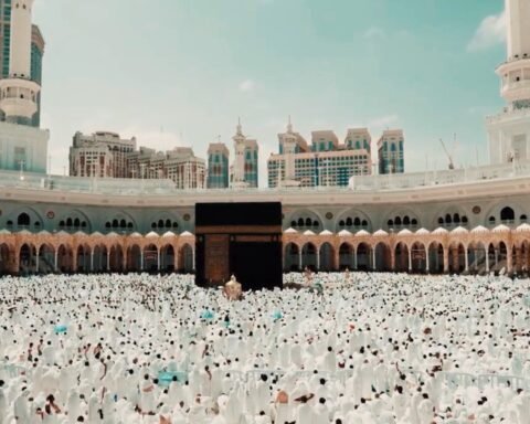 650291798 3951450341825258 9062899994996431596 N