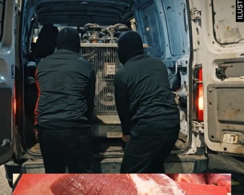 650845514 921308733967947 4333655306628422278 N (1)