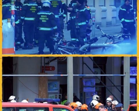 652077814 1629216764894194 216407480535621224 N