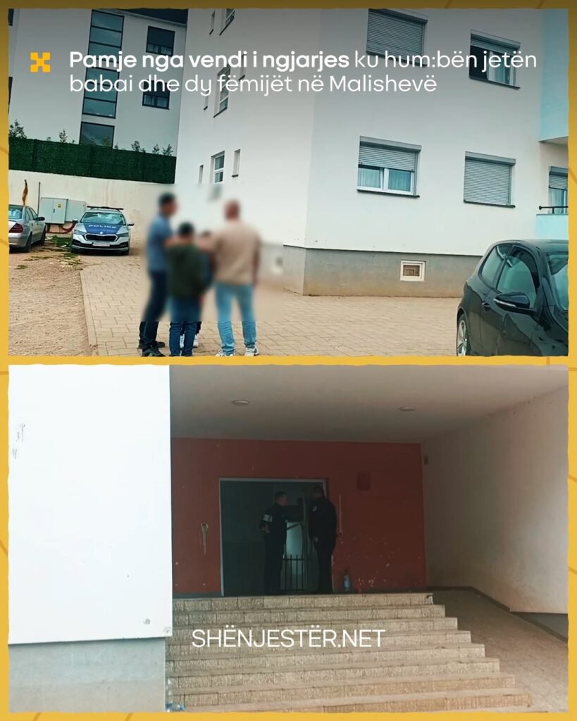 670886150 2046149756338280 3106105839642672306 N