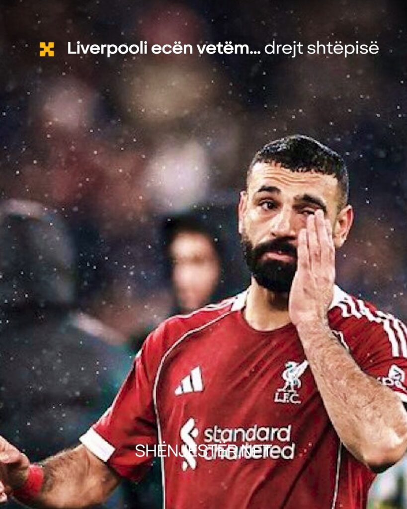 671655315 2419570741800118 7020397977518721231 N