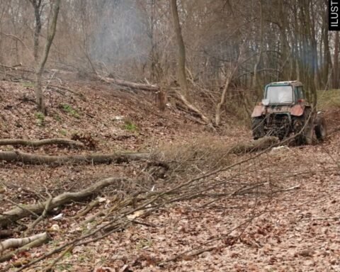 671978368 1666805031408762 3106348903973045729 N