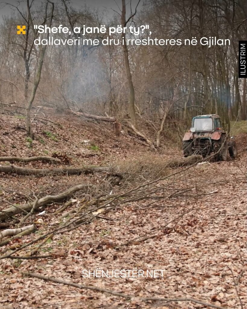 671978368 1666805031408762 3106348903973045729 N