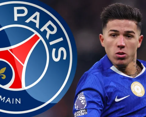 Dk Sport Preview Enzo