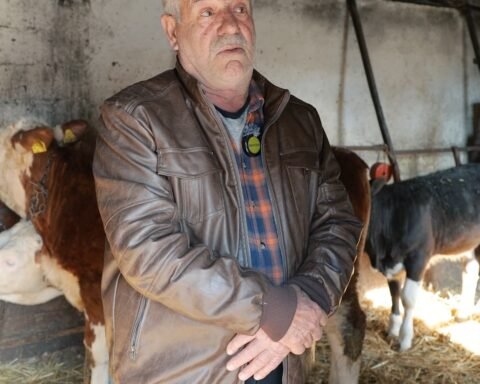 Fermeri Xhema: Më Mirë Të Merresh Me Blegtori Sesa Të Shkosh Jashtë Vendit