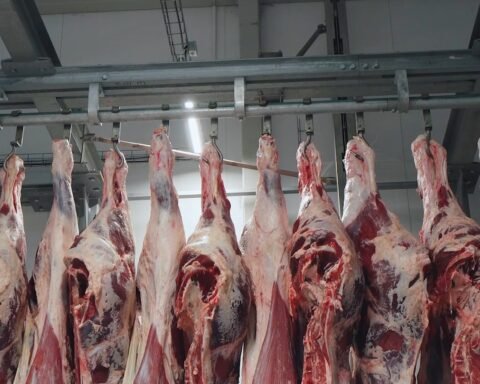Gjermanisë Dhe Holandës U Pëlqejnë Produktet E Mishit Nga Kosova