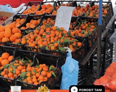Mandarinat E Shqipërisë, Të Sigurta Për Konsum