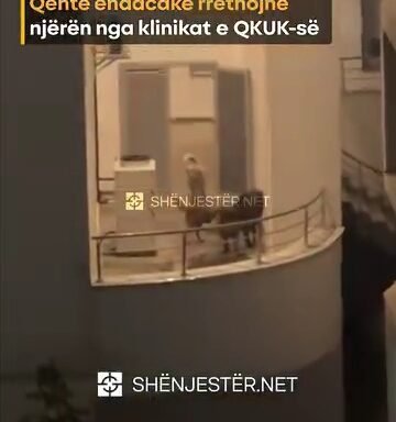 Qentë Endacakë Rrethojnë Njërën Nga Klinikat E Qkuk Së