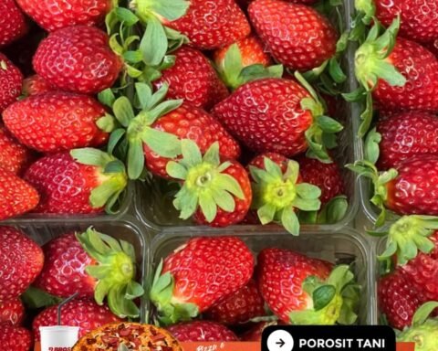 Rritet çmimi I Dredhëzës, Shkon Deri Në 10€ Kilogrami Shenjester.net