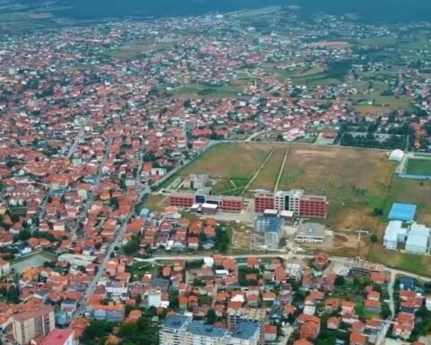 Ther:et Me Th:ikë Një Person Në Parkun E Mitrovicës