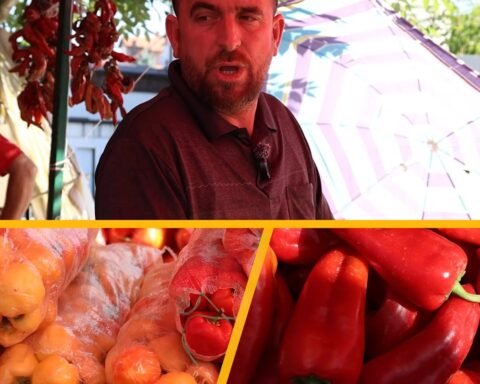 Turshitë: Sa Po Shkojnë çmimet?