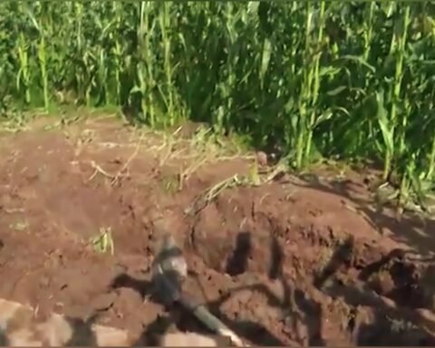 Vr:asja E Enver Bajraktarit, I Arr:estuari Pranon Fajin