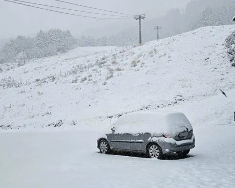 E2c8a3d6 9121 4fc6 8c3d 0bb77b7bbafd