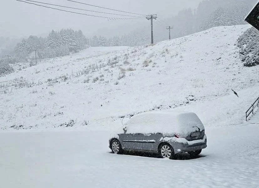 E2c8a3d6 9121 4fc6 8c3d 0bb77b7bbafd