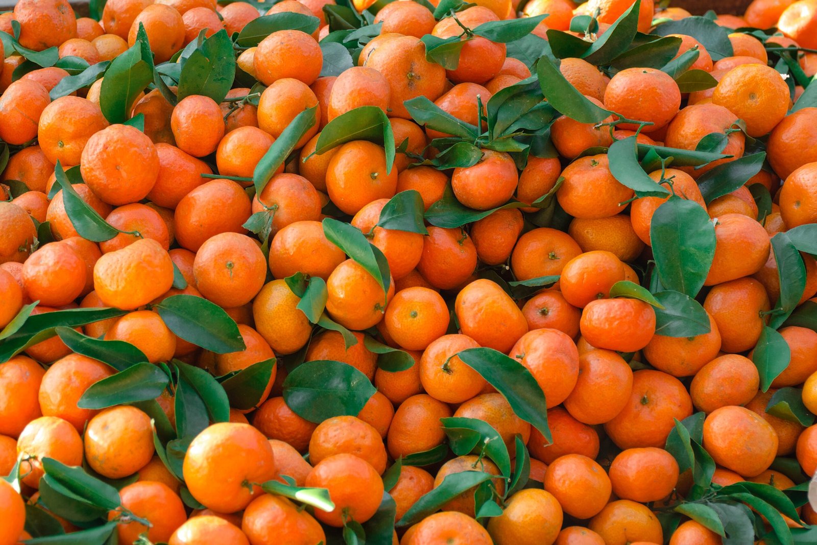Mandarins With Green Leaves Scattered Dense Layer. Natural Fruit